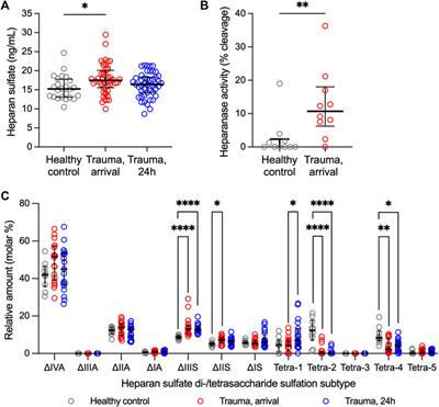 Trauma promotes heparan sulfate modifications and cleavage that disrupt homeostatic gene expression in microvascular endothelial cells